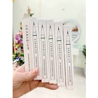 Bút dạ kẻ mắt Eyeliner Karadium Waterproof Brush Liner Black