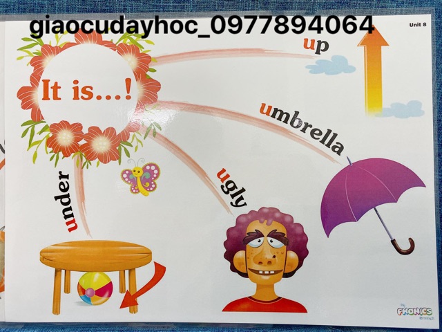 Sơ đồ tư duy MY PHONICS lớp 1,2