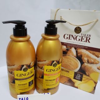 [Freeship 40k] Dầu cặp gội xả Ginger 850ml ( cả cặp- dầu gội +xả gừng)
