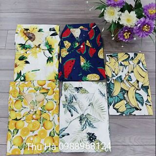 Áo sơ mi hoa quả - 124 STORE