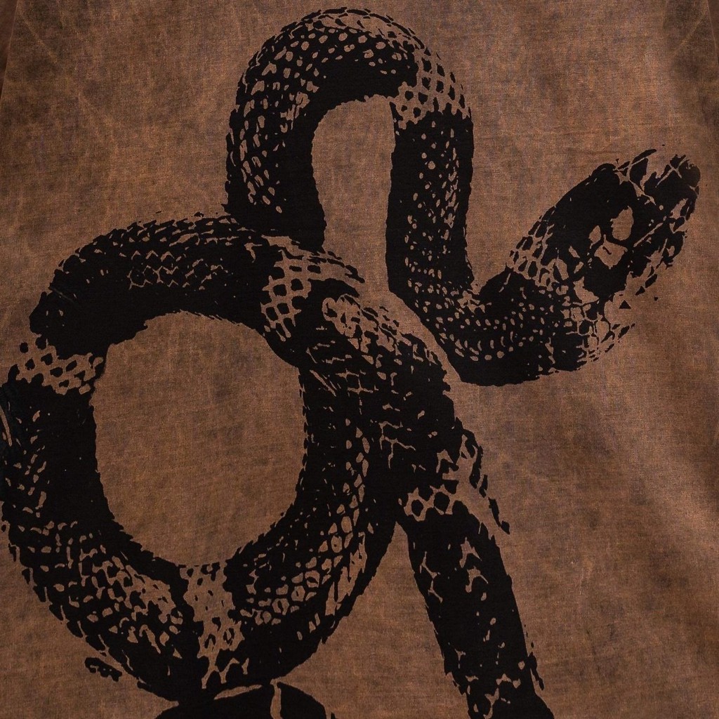 Áo Thun Tay Lỡ Unisex SNAKE BROWN WASH 100% Cotton - HADES Brand Chính Hãng | BigBuy360 - bigbuy360.vn