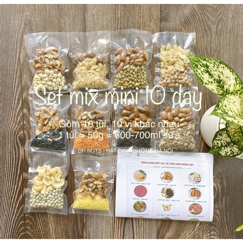 SET MIX HẠT LÀM SỮA MINI 10 NGÀY [ Mỗi túi 50g dùng cho máy làm sữa mini 600ml]