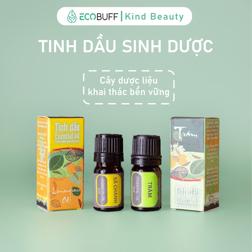 Tinh dầu Sả chanh, Tràm gió Sinh Dược – Tinh dầu thảo dược thiên nhiên nguyên chất, khai thác bền vững | Ecobuff