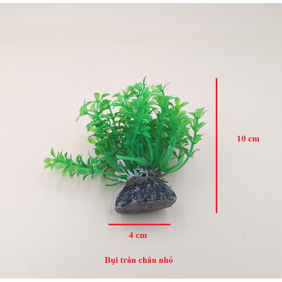 Cây thủy sinh nhỏ bằng nhựa trang trí bể cá