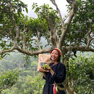 Ôlala-Đồ Vùng Cao