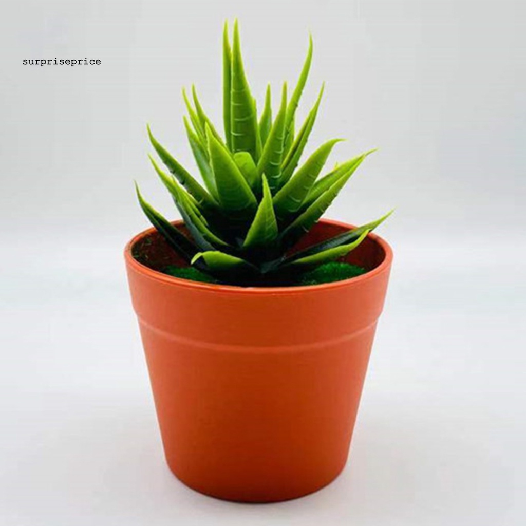 Chậu Cây Bonsai Giả Mini Bằng Nhựa Dùng Trang Trí Nhà Cửa/Văn Phòng