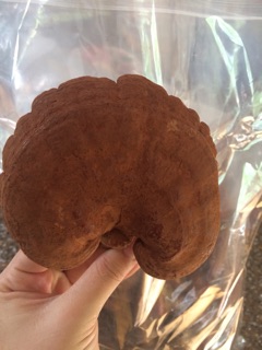 300gram Linh chi sấy khô
