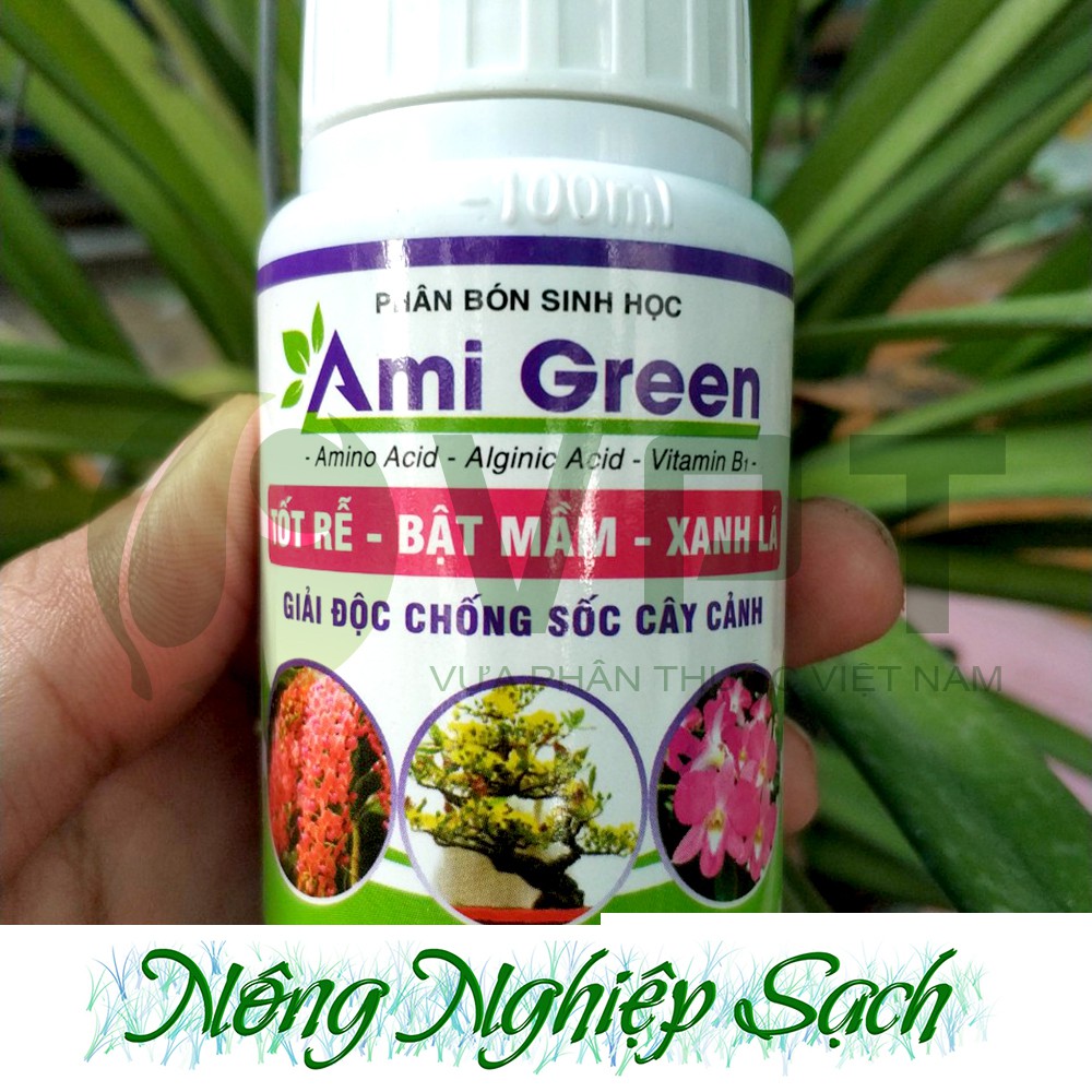 Ami Green - Kích rễ, giải độc phân thuốc cho cây chai 100ml
