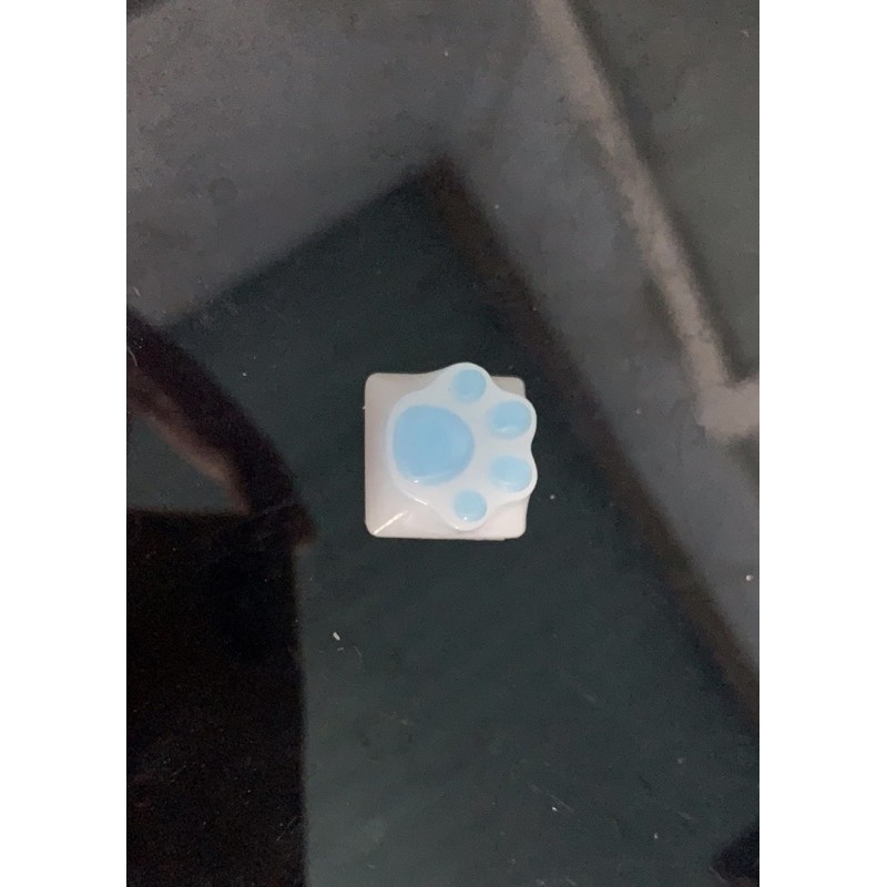 keycap meo mau xanh