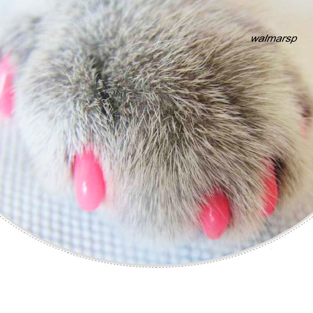 Bộ 20 cái nắp đậy móng chân mèo bằng nhựa nhiều màu