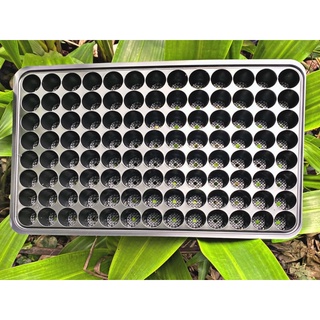 Khay Vỉ Ươm Hạt Giống, Khay Nhựa Trồng Cây Con, Khay Trồng Rau Màu Sạch-Thông Minh 104 Lỗ