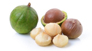 Hạt Macca
