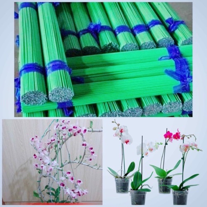 1kg Que lõi thép bọc nhựa chuyên dùng cắm hoa lan cây cảnh 1,2m