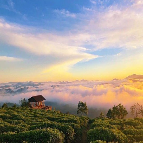[EVoucher Vietravel] Đà Lạt: Đón Bình Minh - Săn Mây