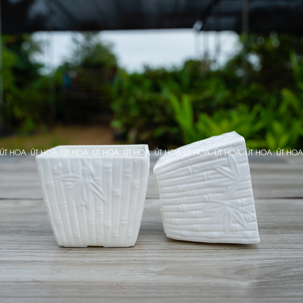 Chậu trồng sen đá, xương rồng Vuông tre nhỏ