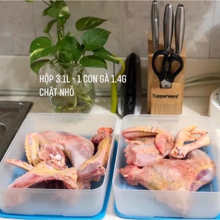 Hộp trữ đông 3.1L Tupp