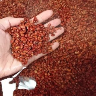 100g Bột đậu đỏ nguyên chất 100%