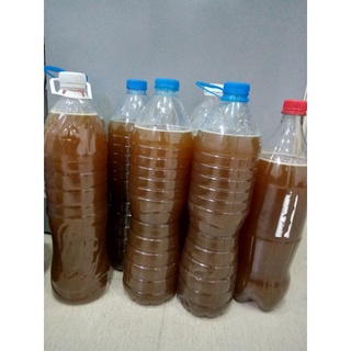 Mật ong hoa nhãn nguyên chất.