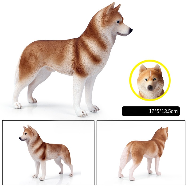 1053 Mô hình chó Husky siêu đẹp