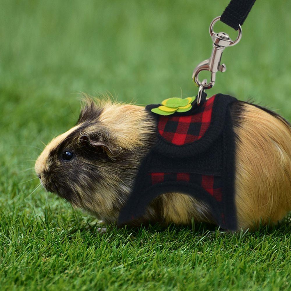 Đai Denim Dắt Chuột Hamster / Thỏ / Chuột Hamster Nhỏ Nhắn Tiện Dụng