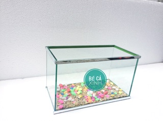 Bể cá mini viền gương ( tặng sỏi)