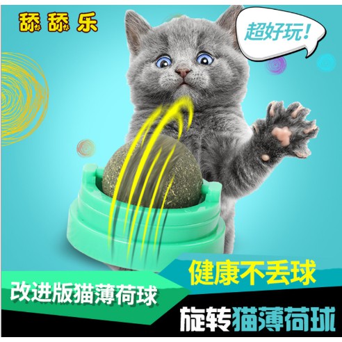 Cỏ mèo gắn tường - catnip - đồ chơi cho mèo - lutpet