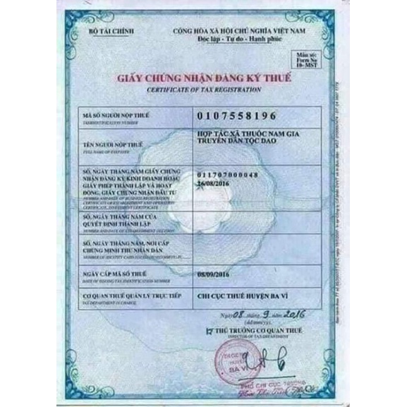 Thảo Mộc viêm Xoang Trần Kim Huyền