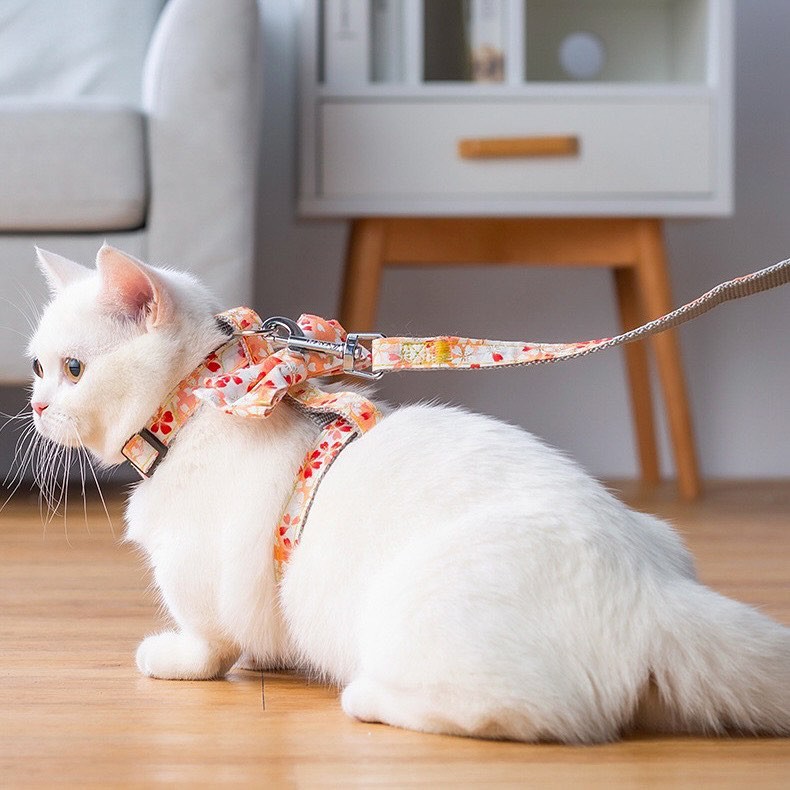 Yếm Thú Cưng Kèm Dây Dắt Nơ Hoa 1