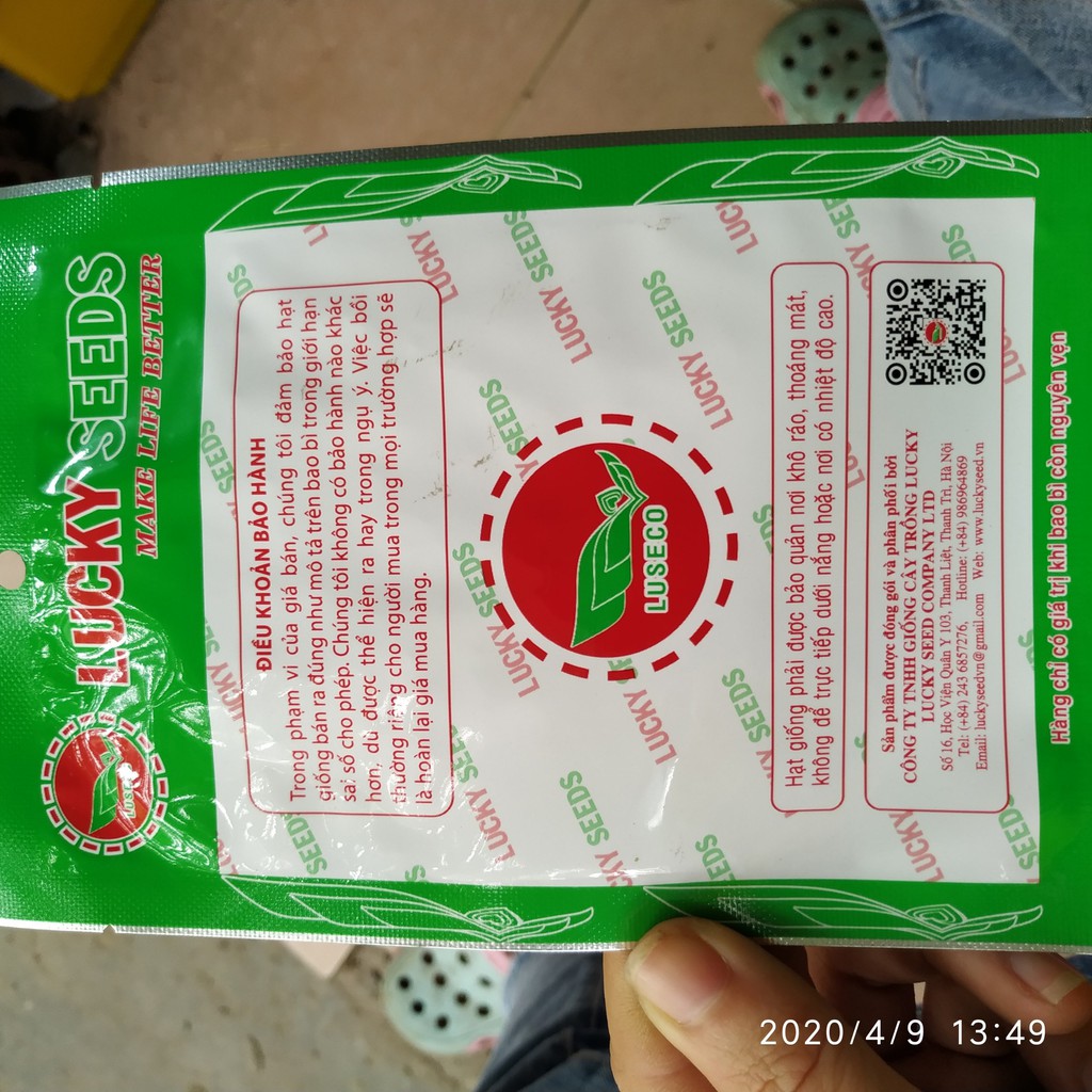 Hạt giống rau má 0.5g Lucky Seeds