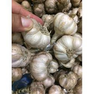 1kg Tỏi Hải Dương Việt Nam chính hãng