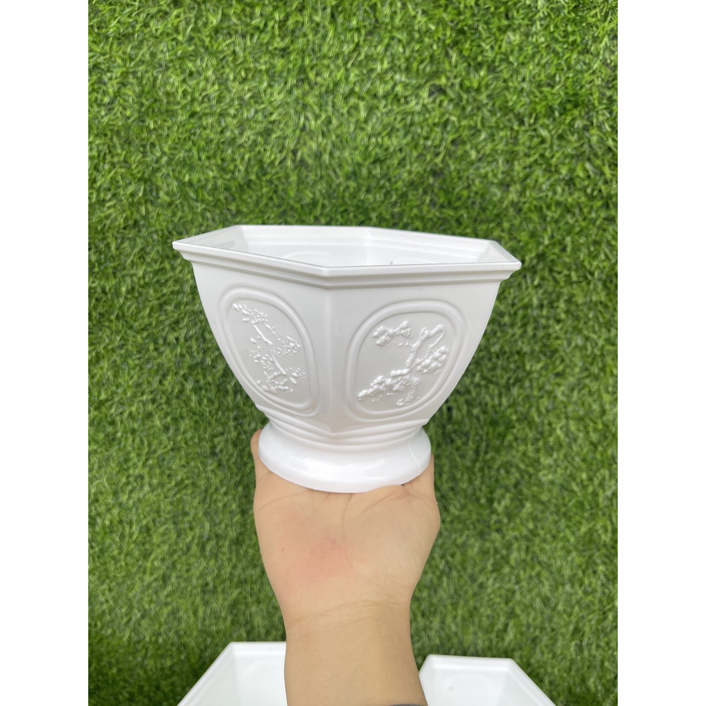 Chậu nhựa Tùng Cúc dk 18cm, 23cm, 28cm siêu dày dặn