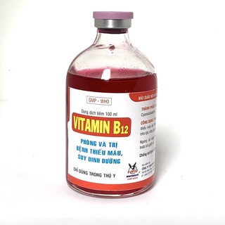 VITAMIN B12 Chai 100ml