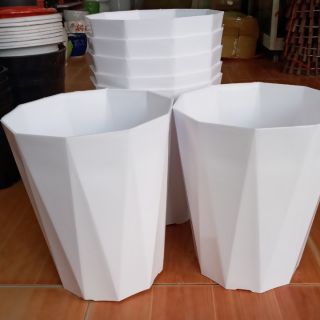10 chậu trồng cây phi 25cm x29cm mới về