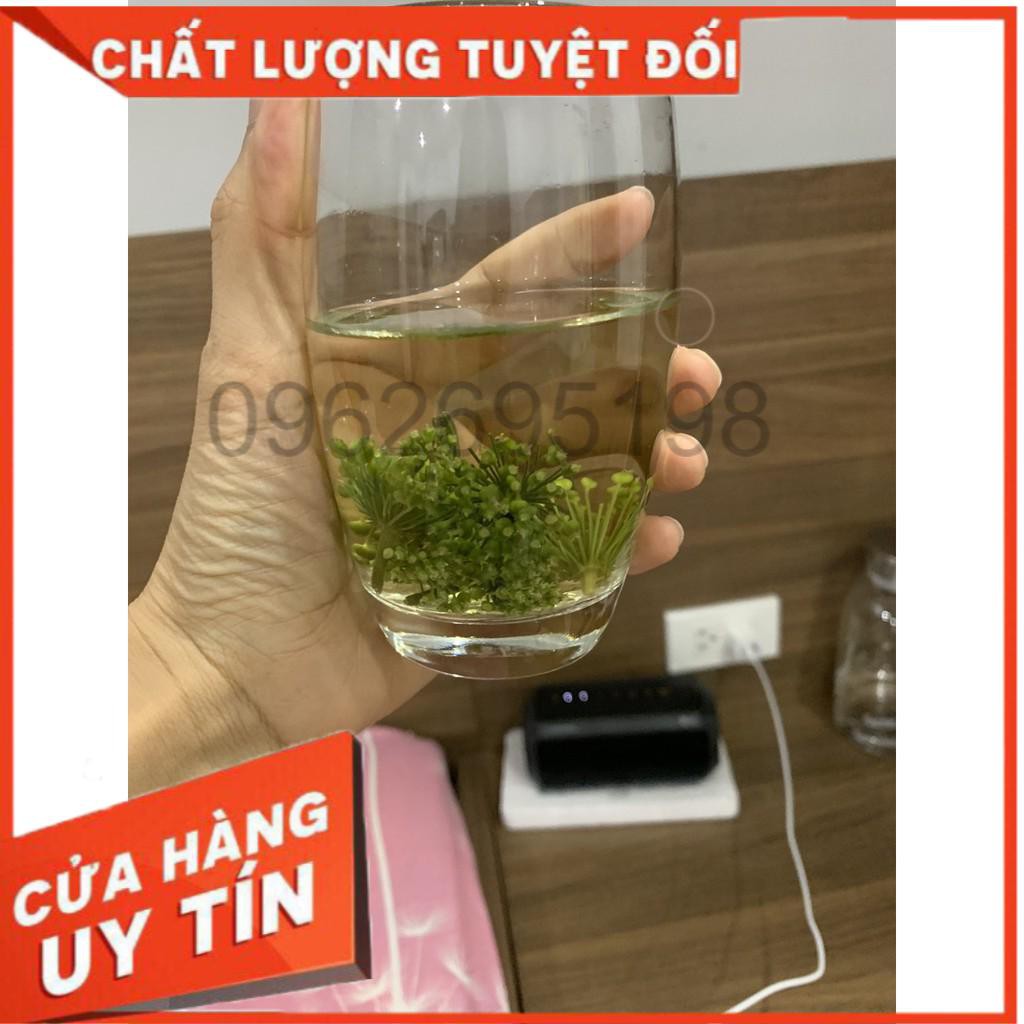 [HÀNG SẴN + ẢNH THẬT] Trà Hoa Nhân Sâm Hàn Quốc, Túi 500gr HOT