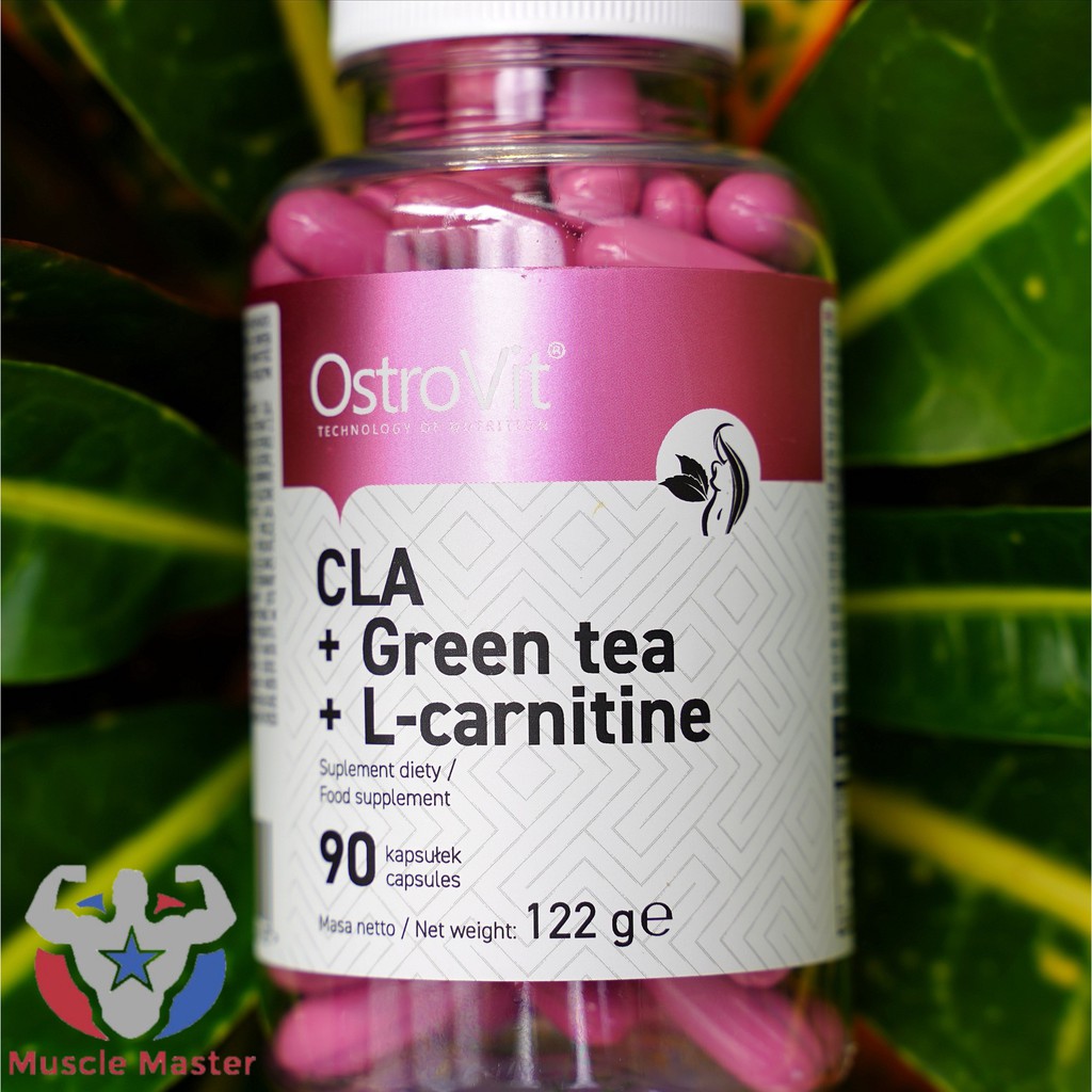 Viên Giảm Mỡ Tự Nhiên Ostrovit CLA + Green Tea + L-Carnitine 90 Viên | BigBuy360 - bigbuy360.vn
