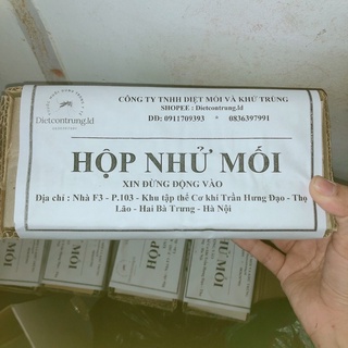 1 hộp nhử mối làm bằng gỗ thông - dẫn dụ mối