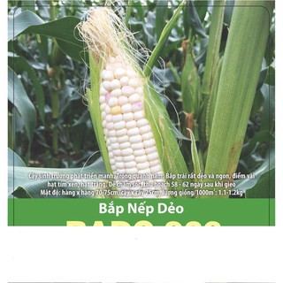 Hạt giống bắp nếp dẽo ngon 10gr