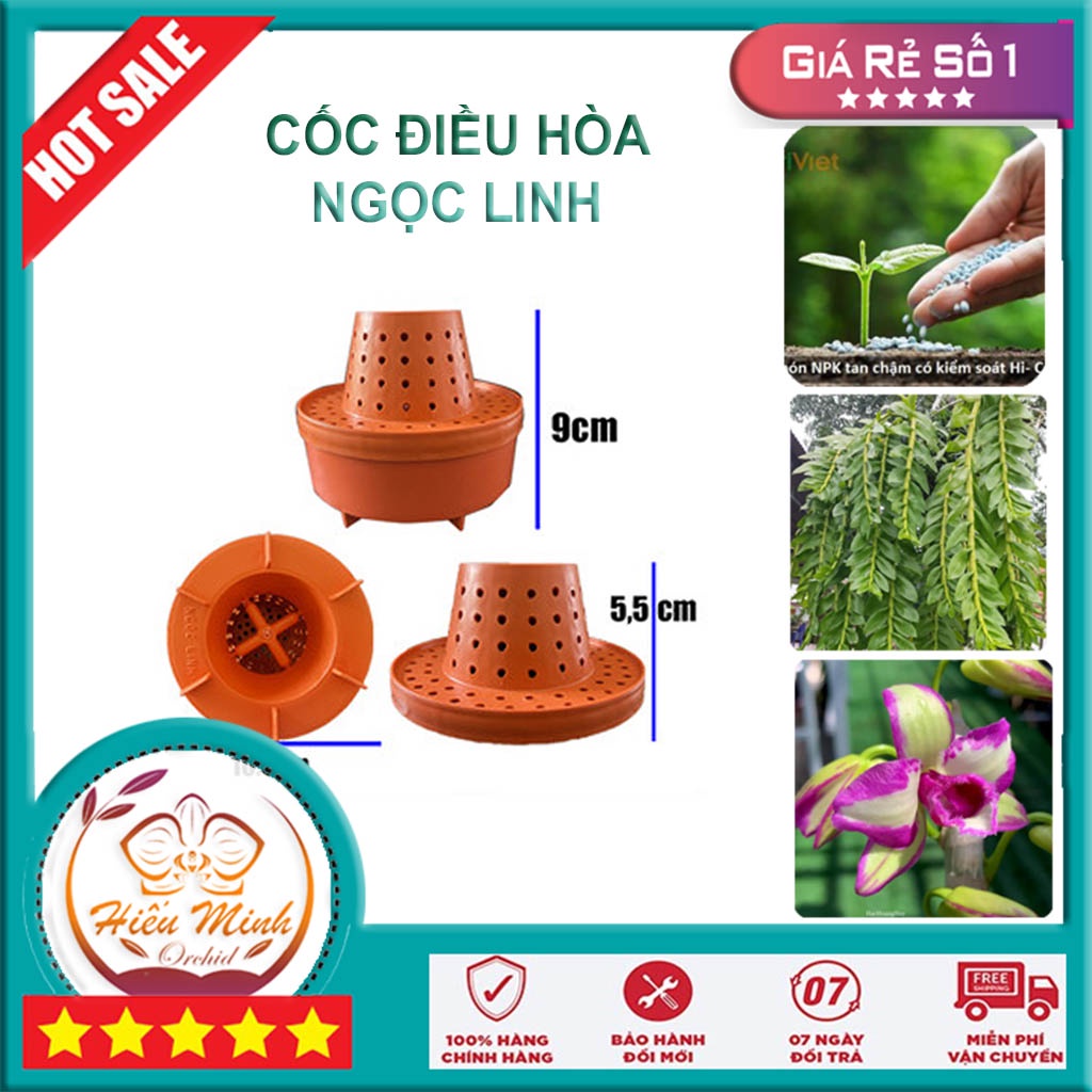 Cốc Điều Hòa Ngọc Linh Cho Hoa Lan