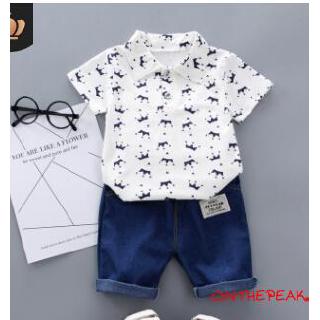 ☎POP❤Kids Baby Boys Floral Print Short Sleeve Clothes Set Summer Outfits