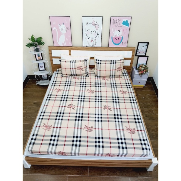 Ga gối giường,nệm cotton boly dùng cho cả 4 mùa