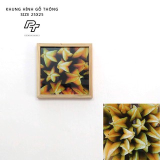 Khung ảnh 25x25 Vuông + Artprint Quả khế - Khung hình gỗ thông mặt kính - Khung ảnh đẹp Picture Frames Tiệm Khung PT