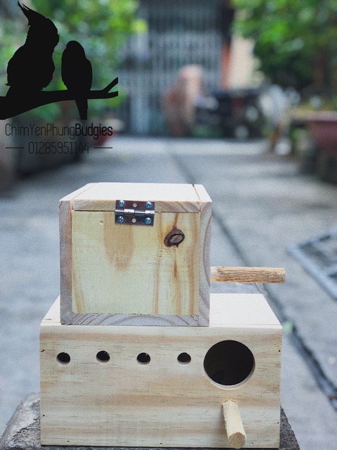 Tổ đẻ cho chim Yến Phụng size to [mẫu cơ bản] Gỗ thông nhập khẩu.