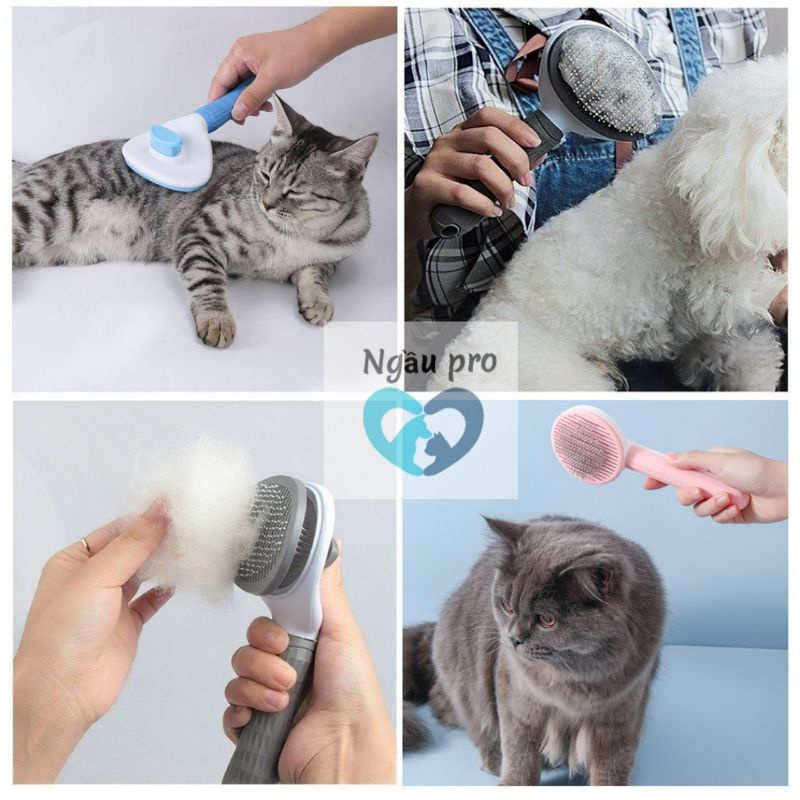 Lược chải lông chó mèo CLEAN có nút bấm gạt lông cao cấp - Lược đẩy lông rụng matxa cho chó thú cưng đẹp inox NGAUPET
