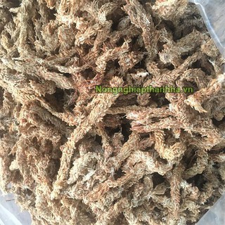 0.5kg Rêu sâu Chile trồng lan - GT28