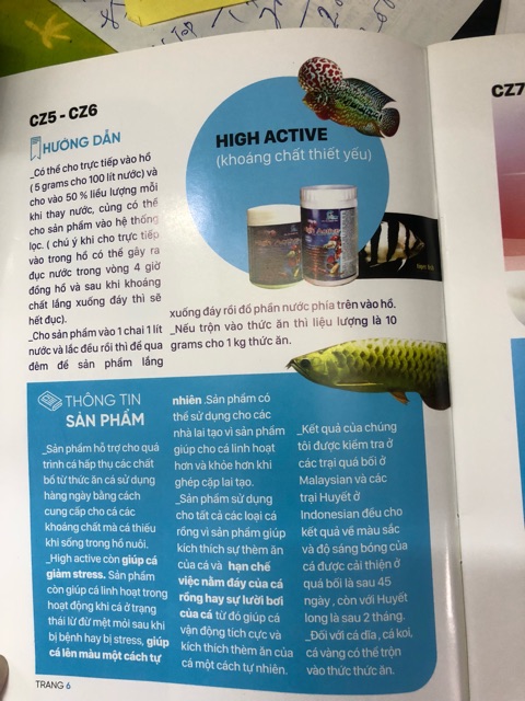 Hủ High Active 50g