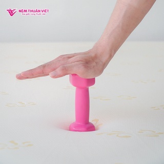 Nệm Foam Thuần Việt Venus