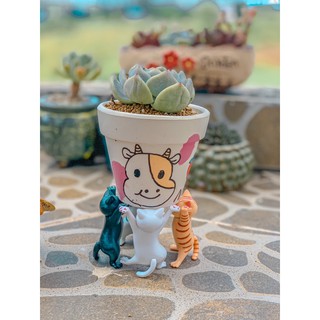 Mèo nhảy múa