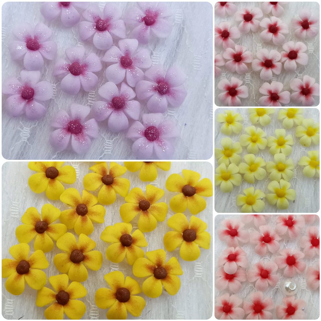 Hoa sứ nhũ - Hoa bột đính móng H56