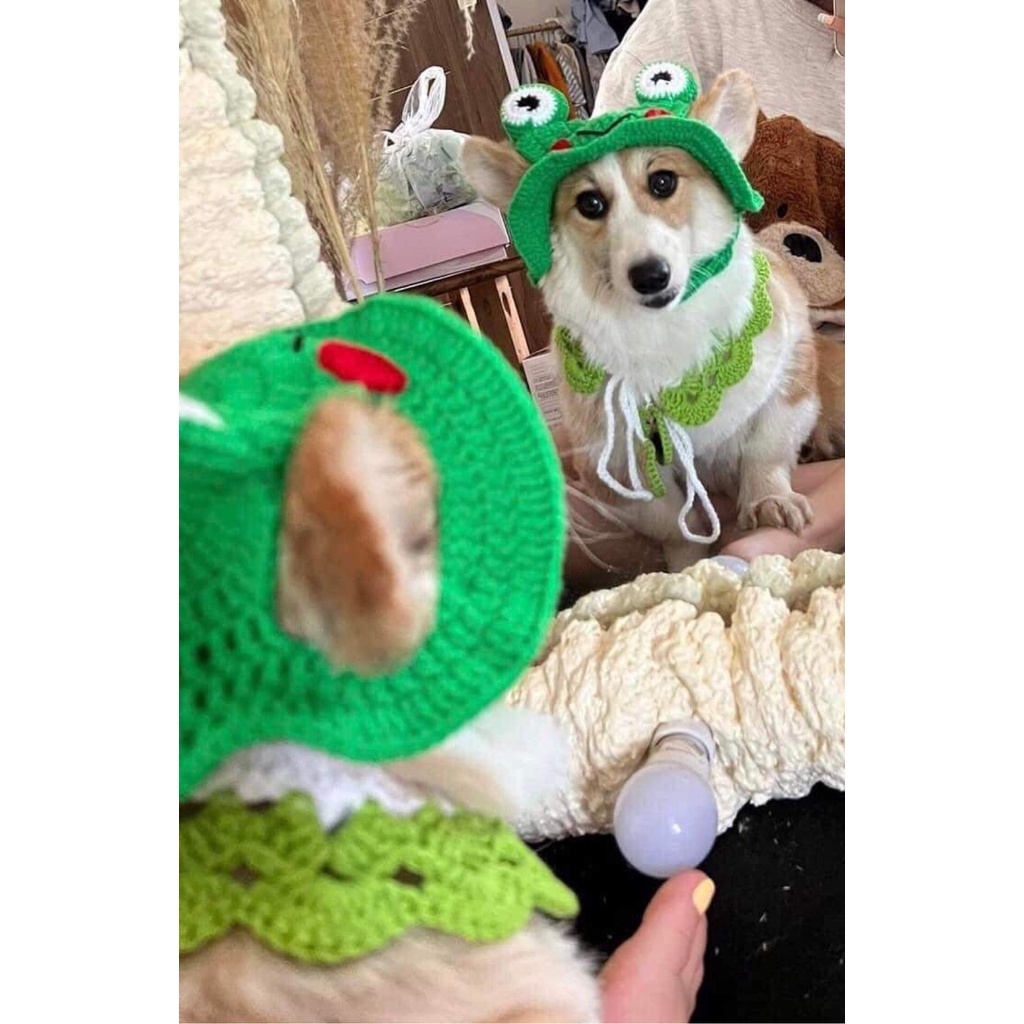 Nón/mũ móc len cosplay ếch xanh cho chó mèo