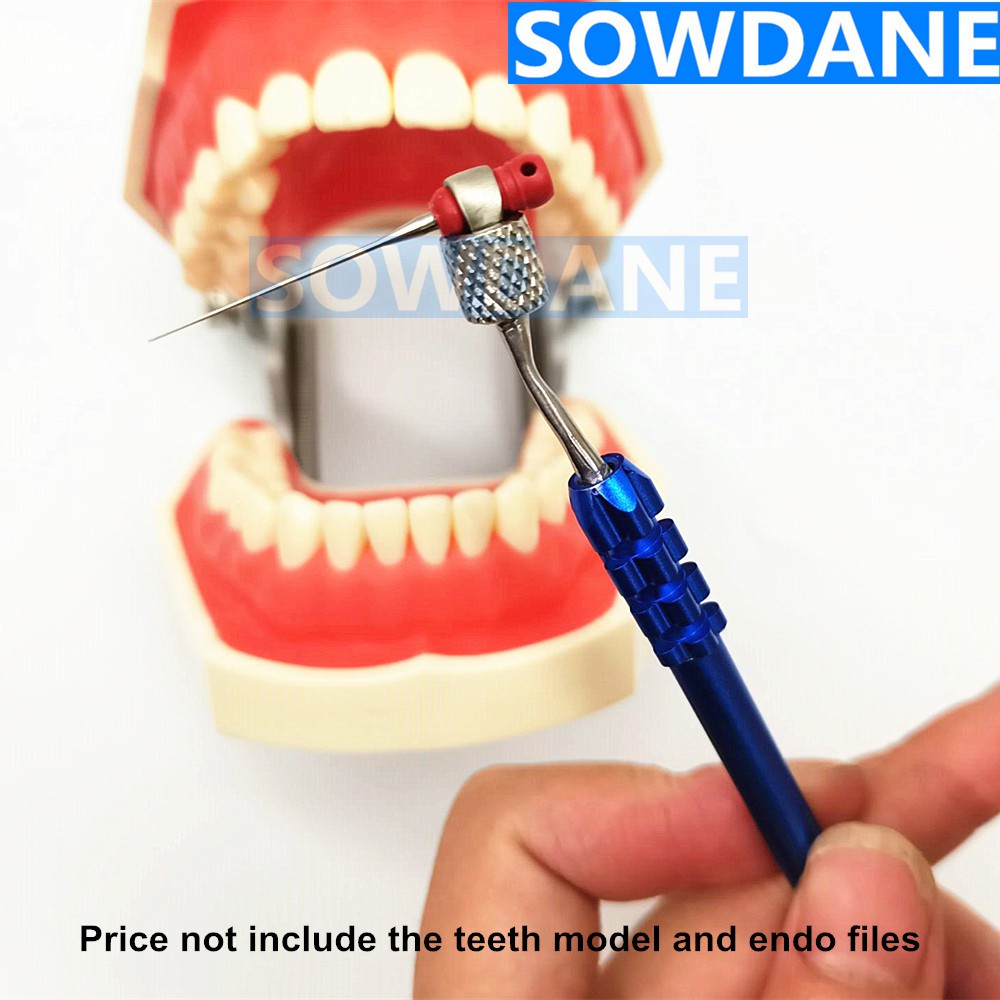 Giá Đỡ Tệp Chỉnh Nha Chuyên Dụng